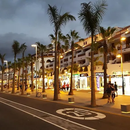 Apartment Duplex No 6 Directly At The Sea And Beach, Heated Pool, Wifi, Terrace Playa de las Americas (Tenerife)